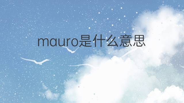mauro是什么意思 mauro的中文翻译、读音、例句