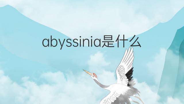 abyssinia是什么意思 abyssinia的中文翻译、读音、例句