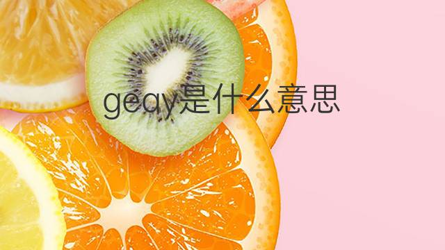 geay是什么意思 geay的中文翻译、读音、例句