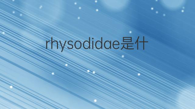 rhysodidae是什么意思 rhysodidae的中文翻译、读音、例句