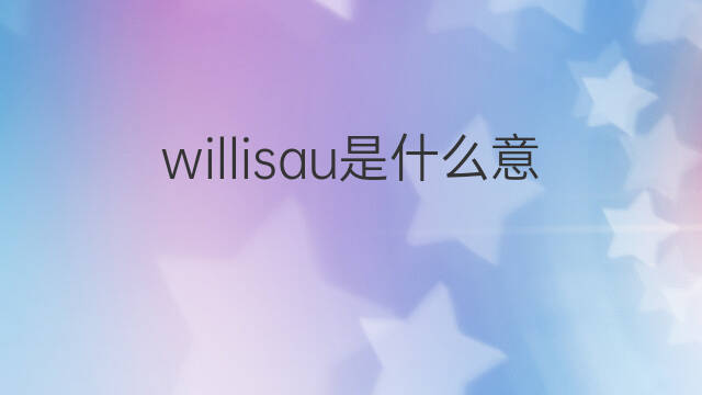 willisau是什么意思 willisau的中文翻译、读音、例句