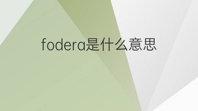 fodera是什么意思 fodera的中文翻译、读音、例句