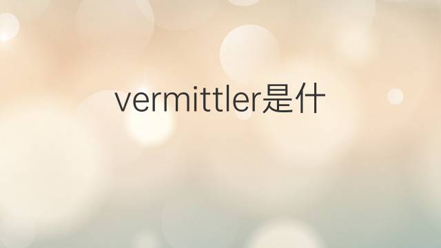vermittler是什么意思 vermittler的中文翻译、读音、例句