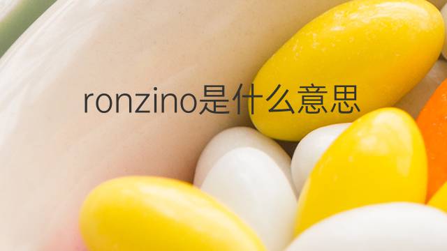 ronzino是什么意思 ronzino的中文翻译、读音、例句