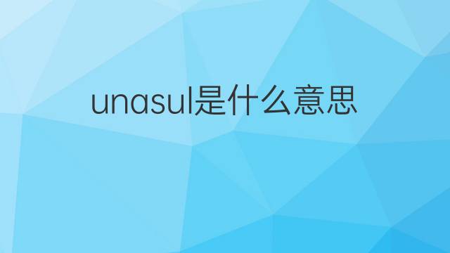 unasul是什么意思 unasul的中文翻译、读音、例句