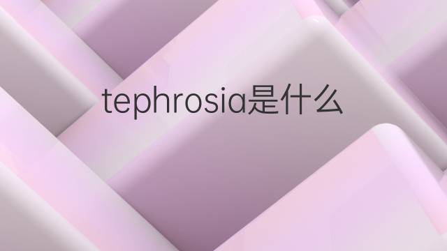tephrosia是什么意思 tephrosia的中文翻译、读音、例句