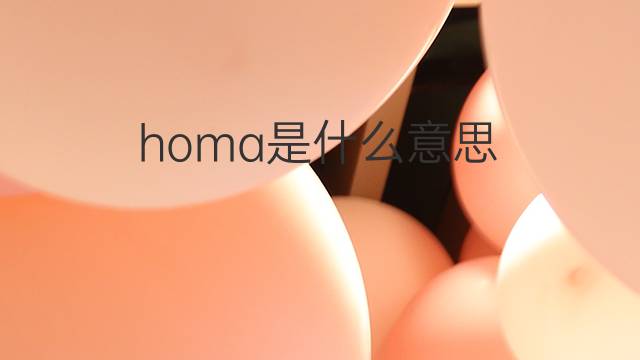 homa是什么意思 homa的中文翻译、读音、例句