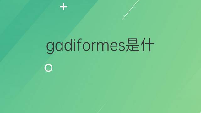 gadiformes是什么意思 gadiformes的中文翻译、读音、例句