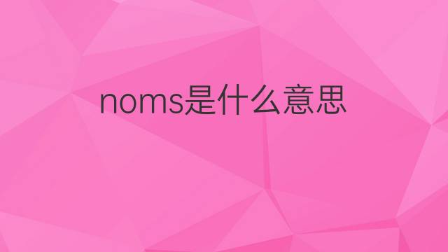 noms是什么意思 noms的中文翻译、读音、例句
