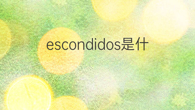 escondidos是什么意思 escondidos的中文翻译、读音、例句