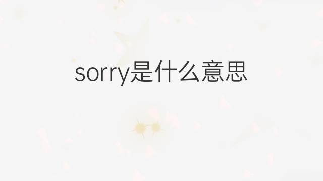 sorry是什么意思 sorry的中文翻译、读音、例句