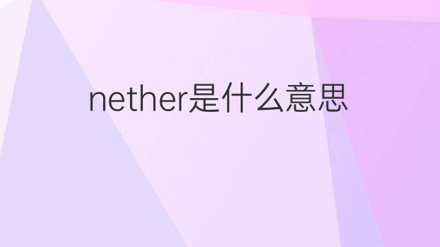 nether是什么意思 nether的中文翻译、读音、例句