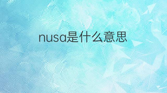 nusa是什么意思 nusa的中文翻译、读音、例句