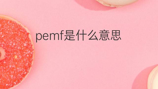 pemf是什么意思 pemf的中文翻译、读音、例句