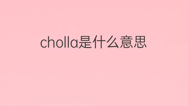 cholla是什么意思 cholla的中文翻译、读音、例句