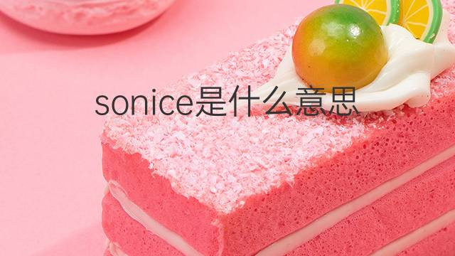 sonice是什么意思 sonice的中文翻译、读音、例句