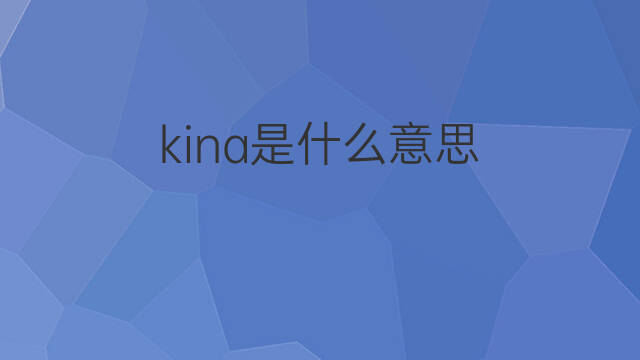 kina是什么意思 英文名kina的翻译、发音、来源
