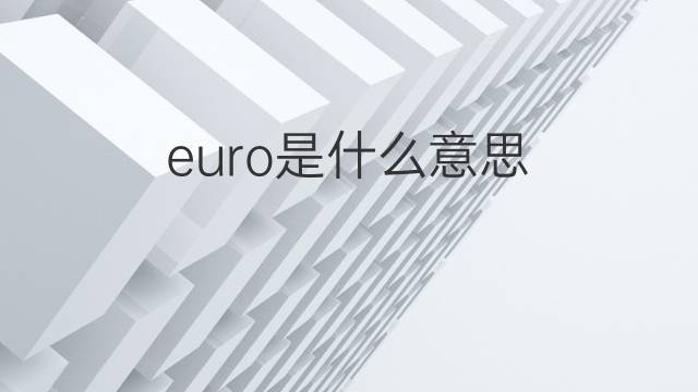 euro是什么意思 euro的中文翻译、读音、例句