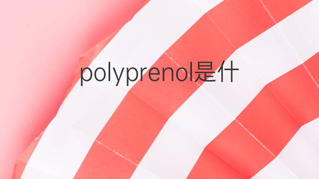 polyprenol是什么意思 polyprenol的中文翻译、读音、例句