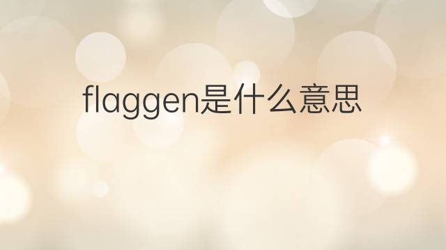 flaggen是什么意思 flaggen的中文翻译、读音、例句
