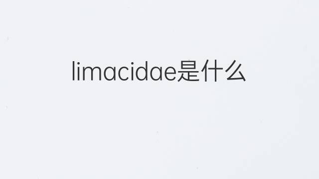 limacidae是什么意思 limacidae的中文翻译、读音、例句