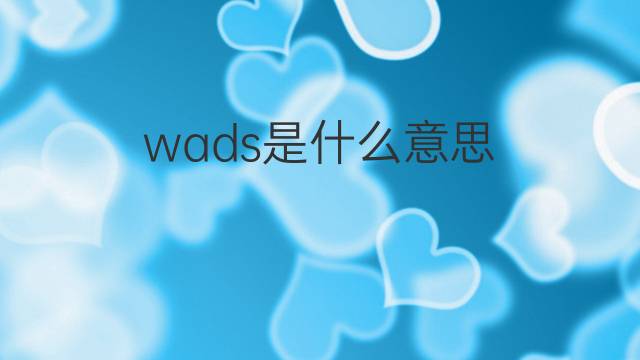 wads是什么意思 wads的中文翻译、读音、例句