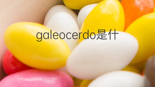 galeocerdo是什么意思 galeocerdo的中文翻译、读音、例句