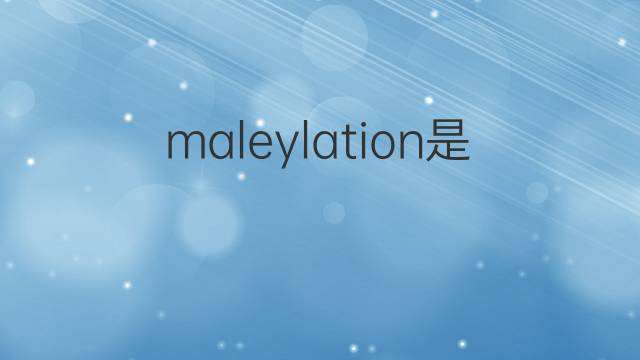 maleylation是什么意思 maleylation的中文翻译、读音、例句