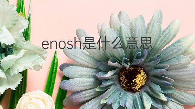 enosh是什么意思 英文名enosh的翻译、发音、来源
