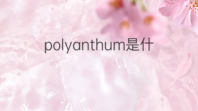 polyanthum是什么意思 polyanthum的中文翻译、读音、例句