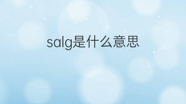 salg是什么意思 salg的中文翻译、读音、例句