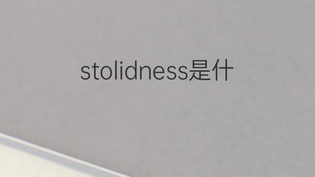 stolidness是什么意思 stolidness的中文翻译、读音、例句