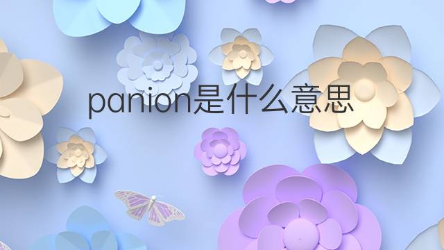 panion是什么意思 panion的中文翻译、读音、例句