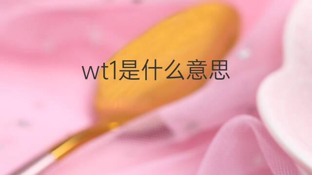 wt1是什么意思 wt1的中文翻译、读音、例句