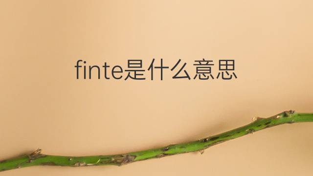 finte是什么意思 finte的中文翻译、读音、例句