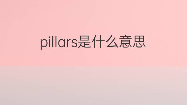 pillars是什么意思 pillars的中文翻译、读音、例句
