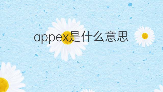 appex是什么意思 appex的中文翻译、读音、例句