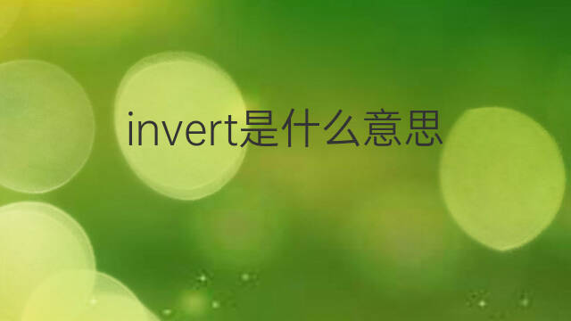 invert是什么意思 invert的中文翻译、读音、例句