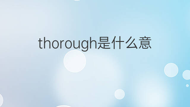 thorough是什么意思 thorough的中文翻译、读音、例句