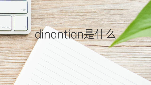 dinantian是什么意思 dinantian的中文翻译、读音、例句