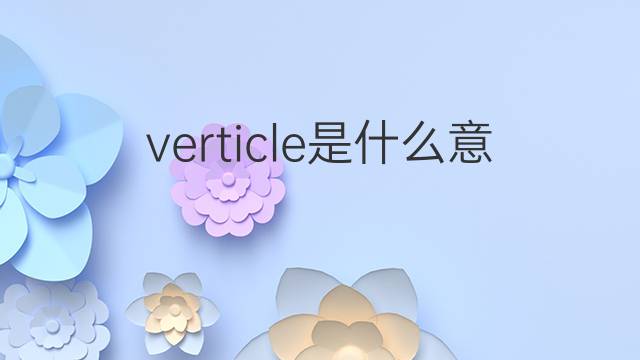 verticle是什么意思 verticle的中文翻译、读音、例句