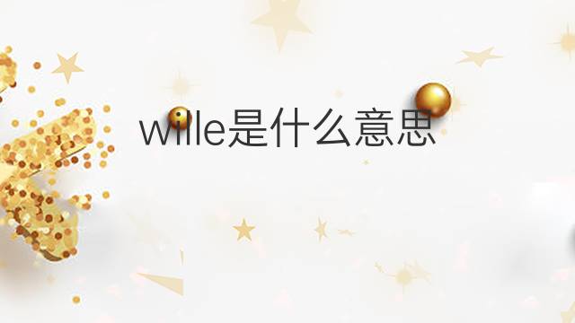 wille是什么意思 wille的中文翻译、读音、例句