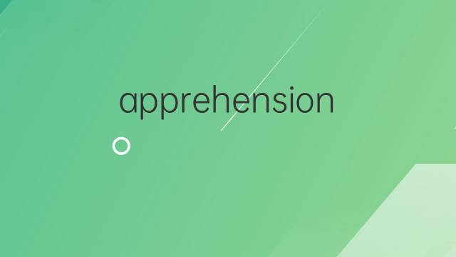apprehension是什么意思 apprehension的中文翻译、读音、例句