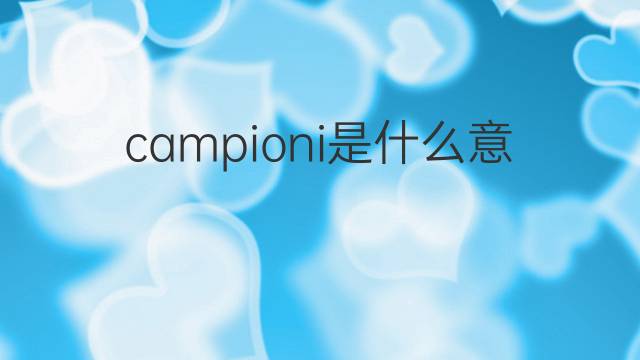 campioni是什么意思 campioni的中文翻译、读音、例句