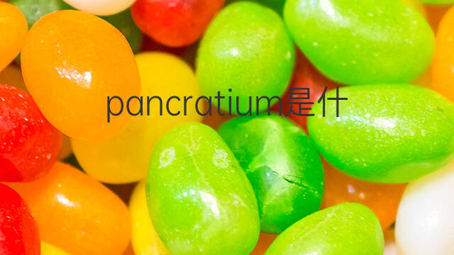pancratium是什么意思 pancratium的中文翻译、读音、例句