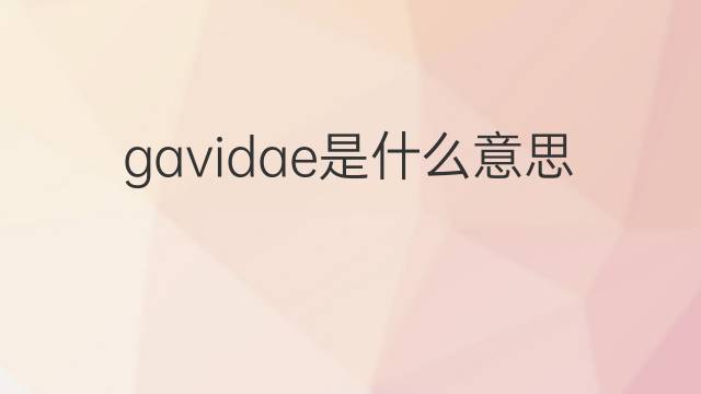 gavidae是什么意思 gavidae的中文翻译、读音、例句