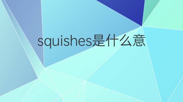 squishes是什么意思 squishes的中文翻译、读音、例句