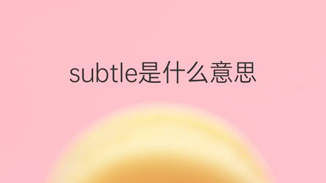 subtle是什么意思 subtle的中文翻译、读音、例句