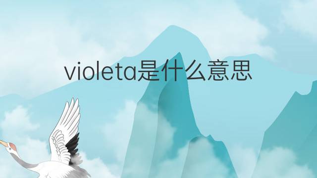 violeta是什么意思 violeta的中文翻译、读音、例句