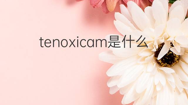 tenoxicam是什么意思 tenoxicam的中文翻译、读音、例句